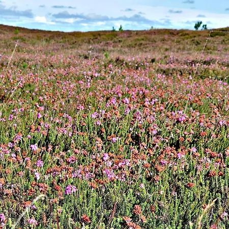 5 Star In Henne בית נופש *