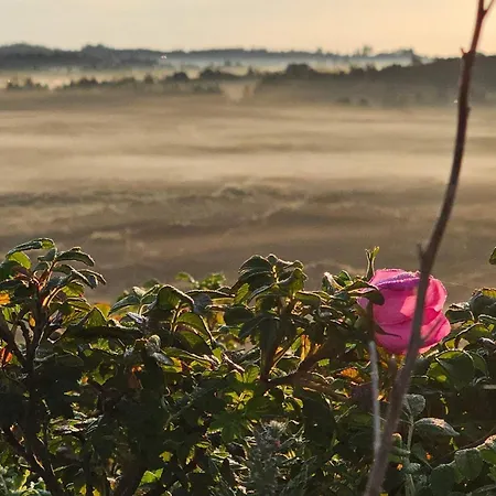 5 Star In Henne האנה סטרנד