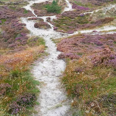 5 Star In Henne * האנה סטרנד